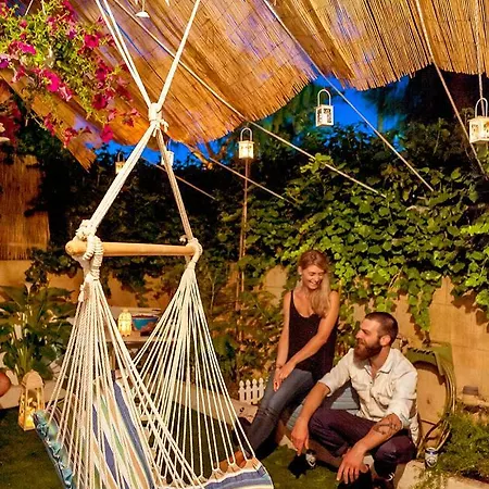 The Eclectic Yard -famous For Its Design *